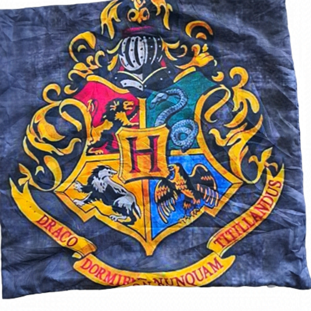 HARRY POTTER DRACO screenprint nylon cushion cover 17x17" academia Zip open